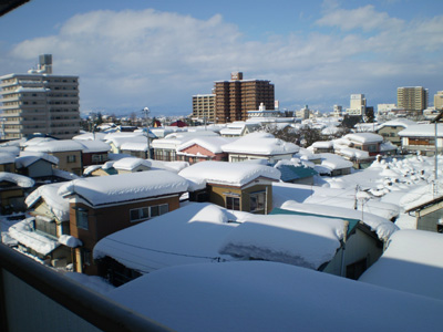 2010yuki01.jpg