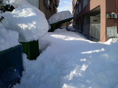 2010yuki02.jpg